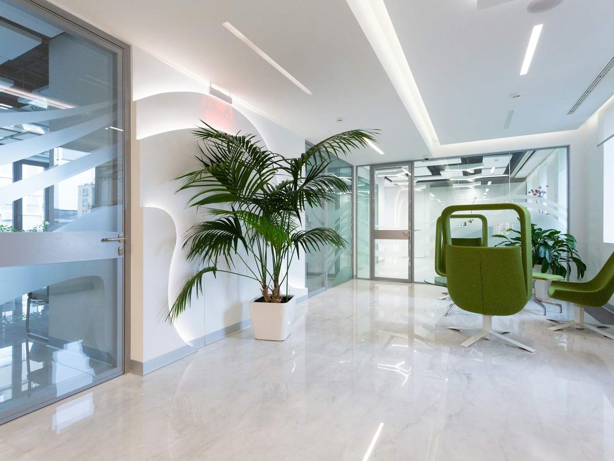Clean, tidy office interior with natural light